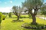 Vialetto Golf Club